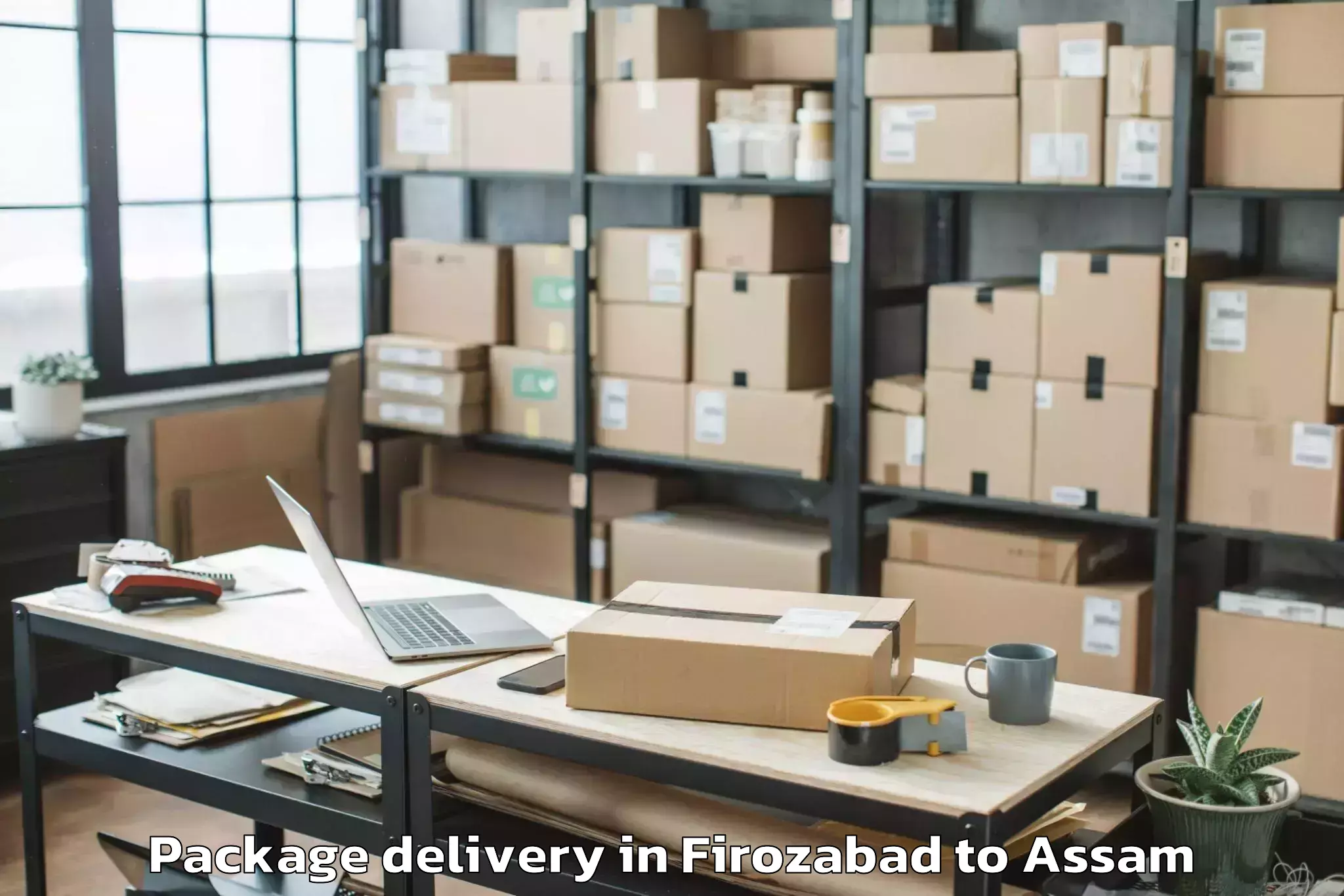 Top Firozabad to Bajali Package Delivery Available